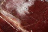 Polished Triassic Petrified Wood Heart - Madagascar #355628-1